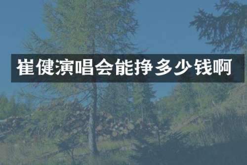 崔健演唱会能挣多少钱啊