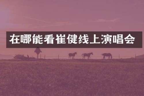 在哪能看崔健线上演唱会
