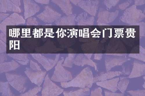 哪里都是你演唱会门票贵阳