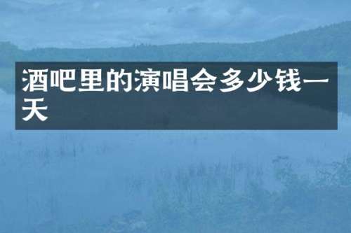 酒吧里的演唱会多少钱一天