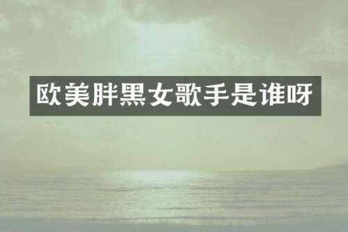 欧美胖黑女歌手是谁呀