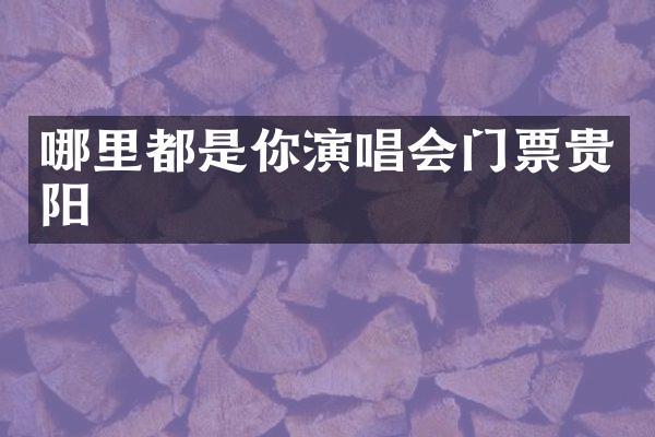 哪里都是你演唱会门票贵阳