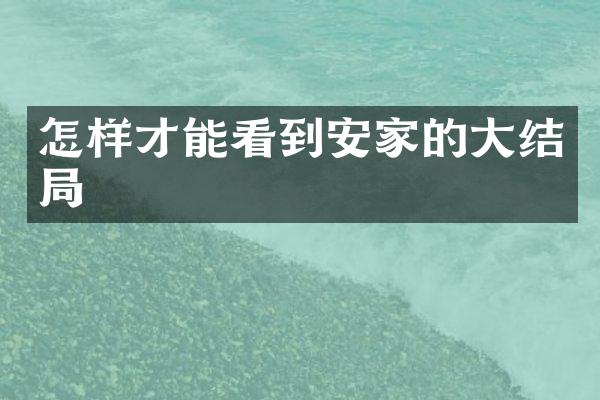 怎样才能看到安家的大结局