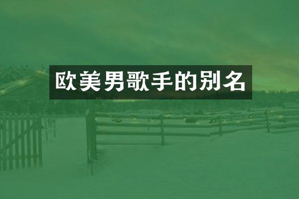 欧美男歌手的别名