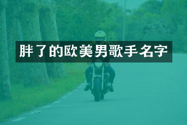 胖了的欧美男歌手名字