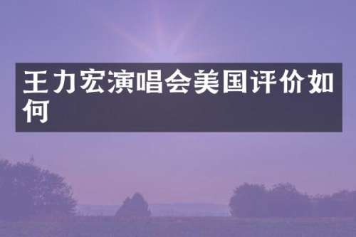 王力宏演唱会美国评价如何