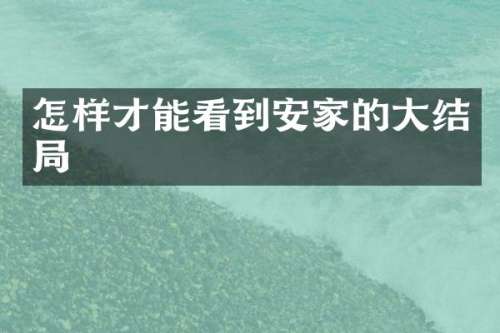怎样才能看到安家的大结局