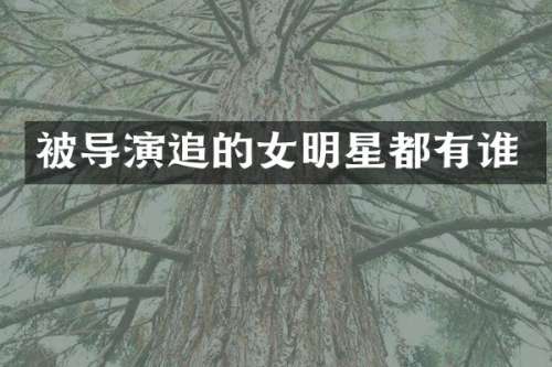 被导演追的女明星都有谁