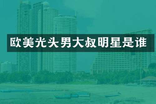 欧美光头男大叔明星是谁