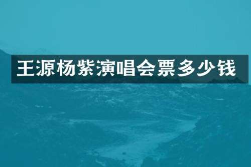 王源杨紫演唱会票多少钱