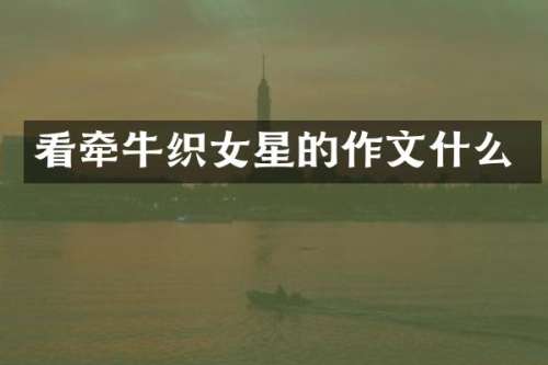 看牵牛织女星的作文什么