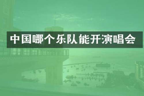 中国哪个乐队能开演唱会