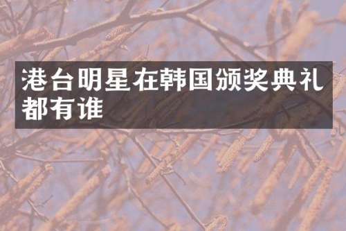 港台明星在韩国颁奖典礼都有谁