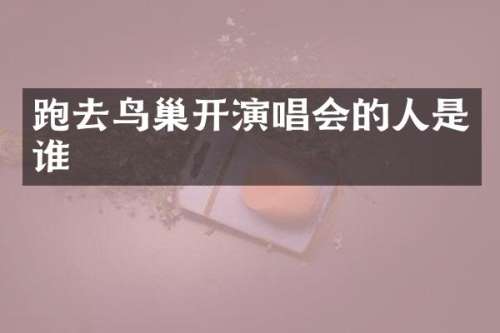 跑去鸟巢开演唱会的人是谁