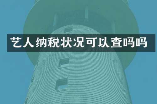 艺人纳税状况可以查吗吗