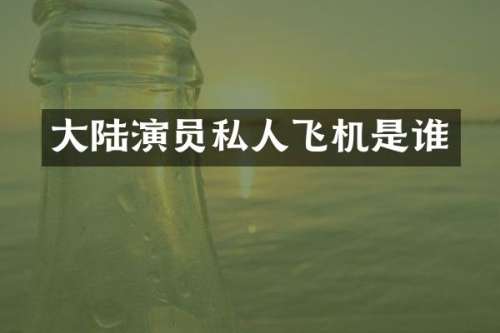 大陆演员私人飞机是谁