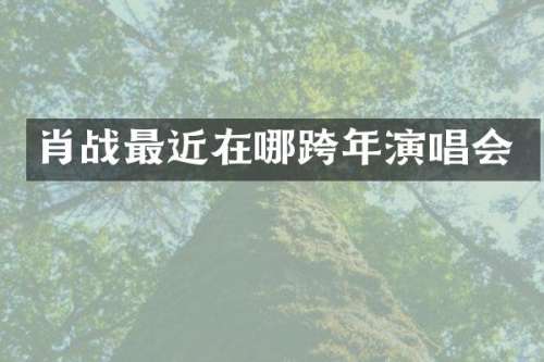 肖战最近在哪跨年演唱会