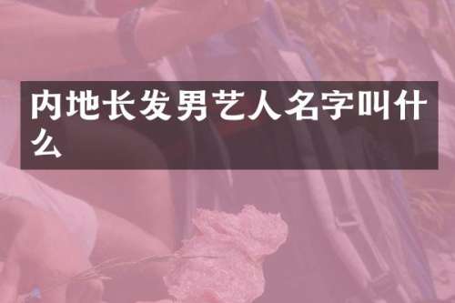 内地长发男艺人名字叫什么