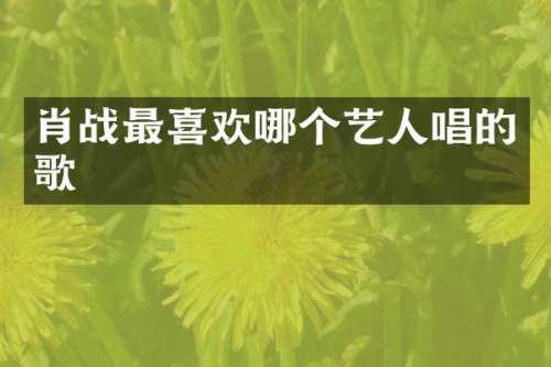 肖战最喜欢哪个艺人唱的歌