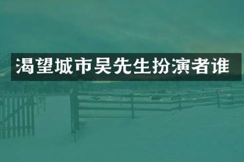 渴望城市吴先生扮演者谁