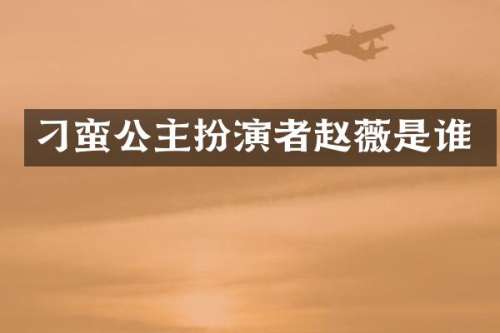 刁蛮公主扮演者赵薇是谁