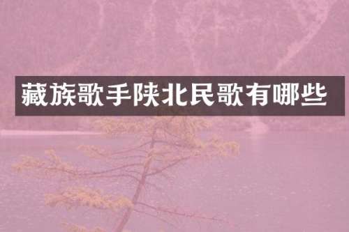 藏族歌手陕北民歌有哪些