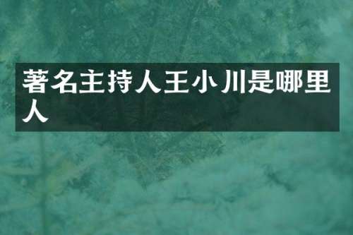 著名主持人王小川是哪里人