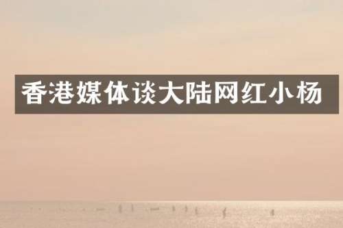 香港媒体谈大陆网红小杨