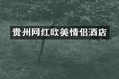 贵州网红欧美情侣酒店