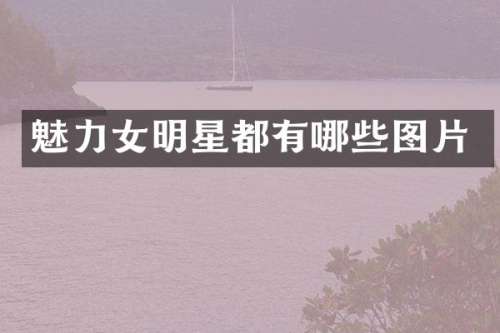 魅力女明星都有哪些图片