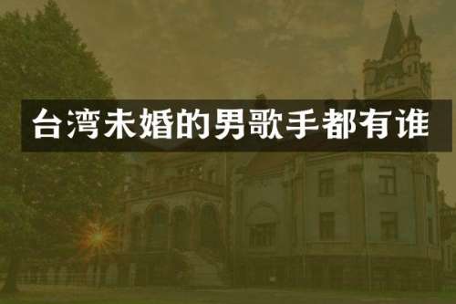 台湾未婚的男歌手都有谁