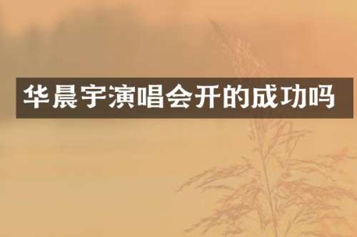 华晨宇演唱会开的成功吗