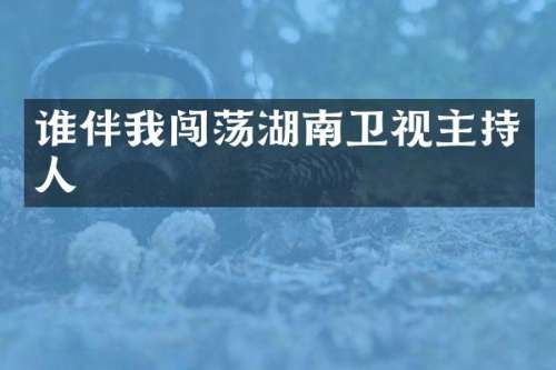谁伴我闯荡湖南卫视主持人