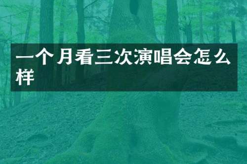 一个月看三次演唱会怎么样