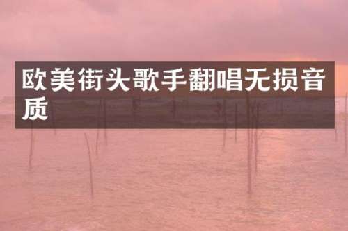 欧美街头歌手翻唱无损音质