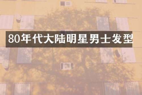 80年代大陆明星男士发型