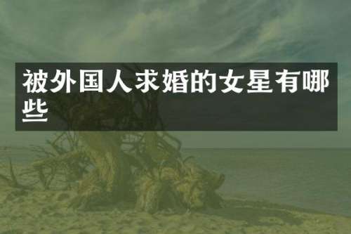 被外国人求婚的女星有哪些