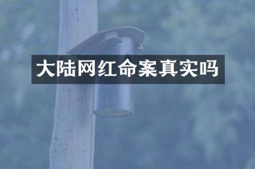 大陆网红命案真实吗