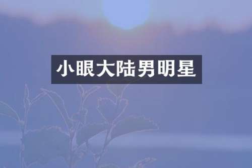 小眼大陆男明星