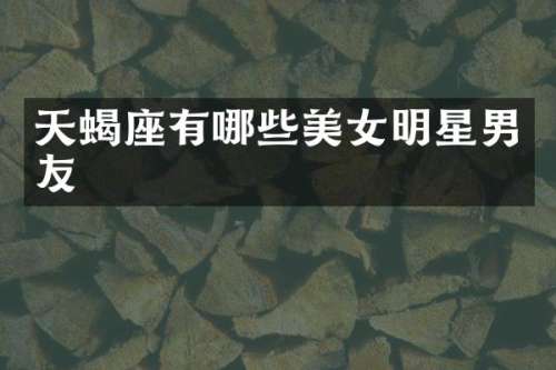 天蝎座有哪些明星男友