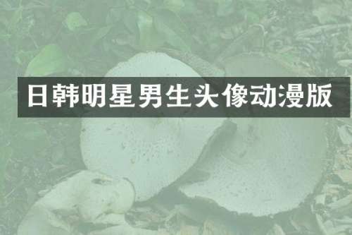 日韩明星男生头像动漫版