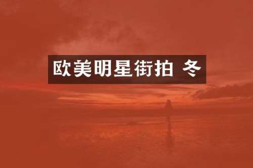 欧美明星街拍 冬