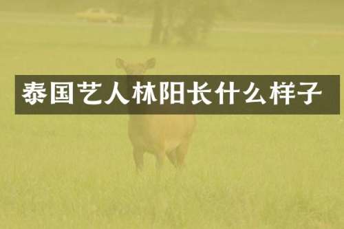 泰国艺人林阳长什么样子