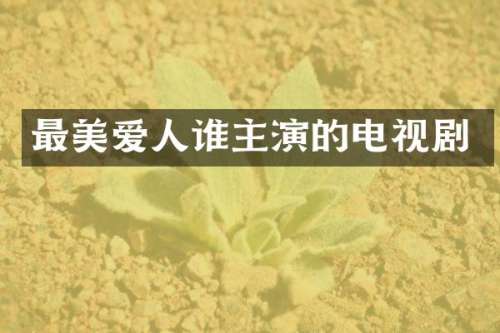 最美爱人谁主演的电视剧