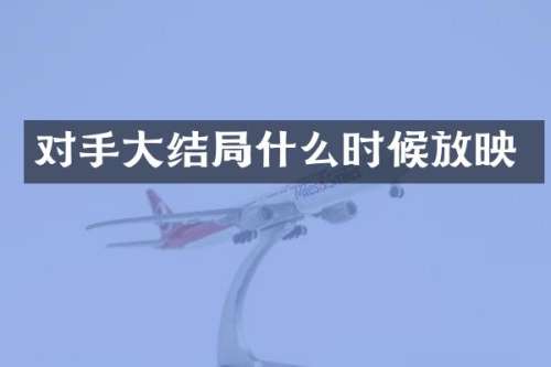 对手大结局什么时候放映