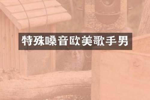 特殊嗓音欧美歌手男