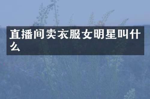 直播间卖衣服女明星叫什么