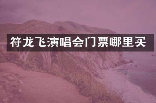 符龙飞演唱会门票哪里买