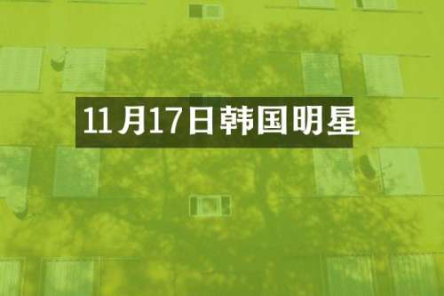11月17日韩国明星