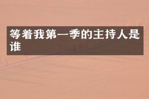 等着我第一季的主持人是谁